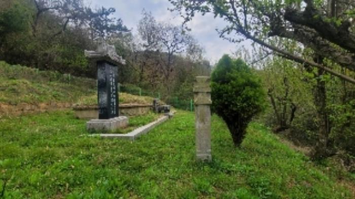 경상남도 창원시 마산회원구 내서읍 상곡리 257-1 전 경매 사진 8
