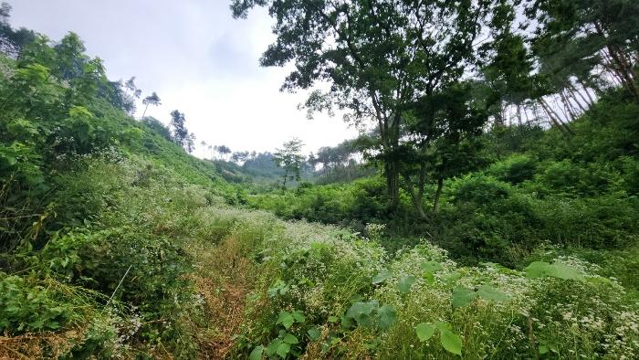 경상남도 거창군 고제면 농산리 31 주택 경매 사진 19