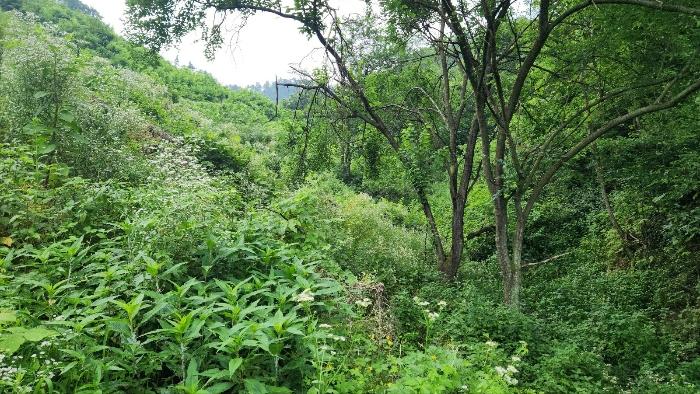 경상남도 거창군 고제면 농산리 31 주택 경매 사진 20