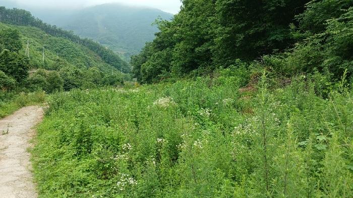 경상남도 거창군 고제면 농산리 31 주택 경매 사진 26