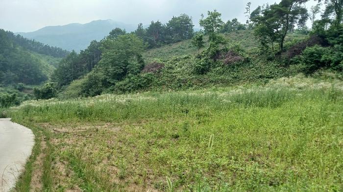 경상남도 거창군 고제면 농산리 31 주택 경매 사진 38