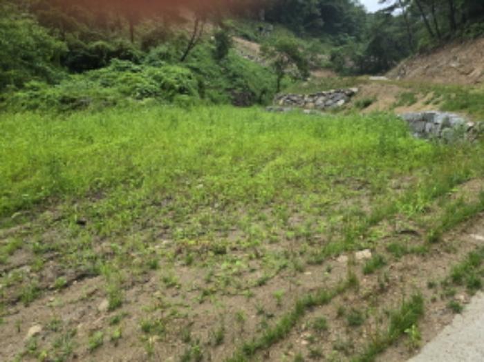 경상남도 거창군 고제면 농산리 31 주택 경매 사진 43
