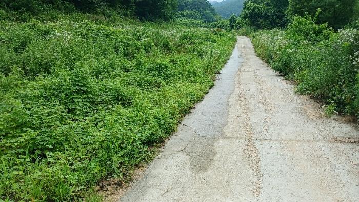 경상남도 거창군 고제면 농산리 31 주택 경매 사진 6