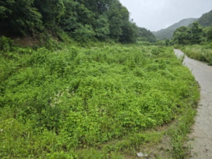 경상남도 거창군 고제면 농산리 31 주택 경매 사진 62