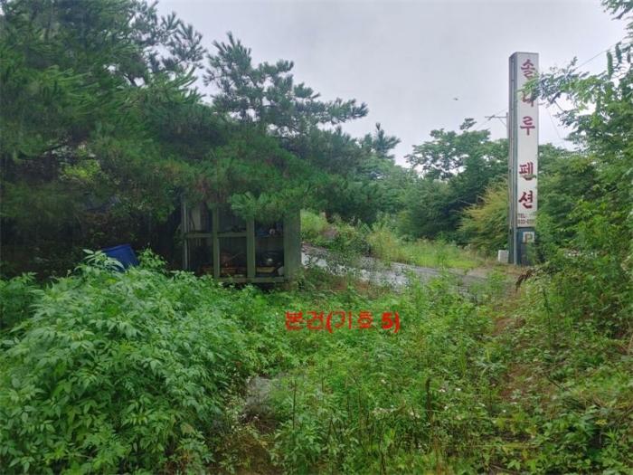 경상남도 합천군 봉산면 송림리 1132 숙박시설 경매 사진 9