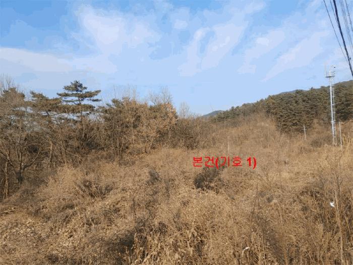 경상남도 합천군 묘산면 관기리 495-1 답 경매 사진 32