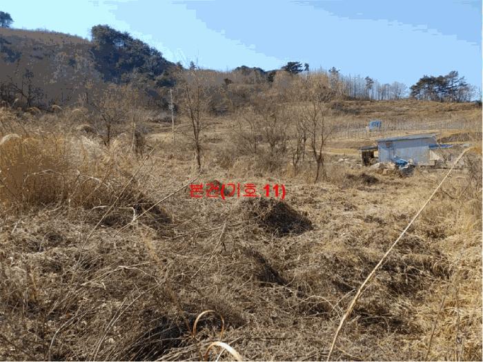 경상남도 합천군 묘산면 관기리 495-1 답 경매 사진 40