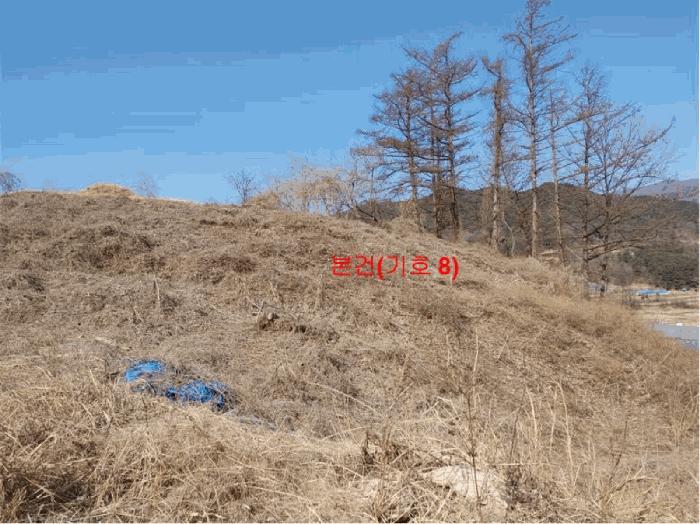 경상남도 합천군 묘산면 관기리 495-1 답 경매 사진 45