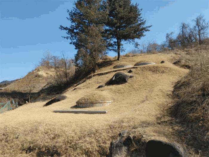 경상남도 합천군 임야