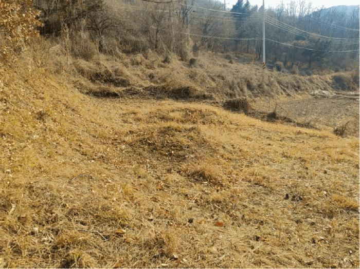 경상남도 합천군 묘산면 관기리 산85-3 임야 경매 사진 10