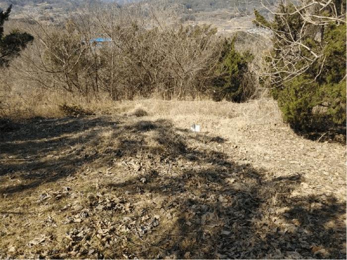 경상남도 합천군 묘산면 관기리 산85-3 임야 경매 사진 11