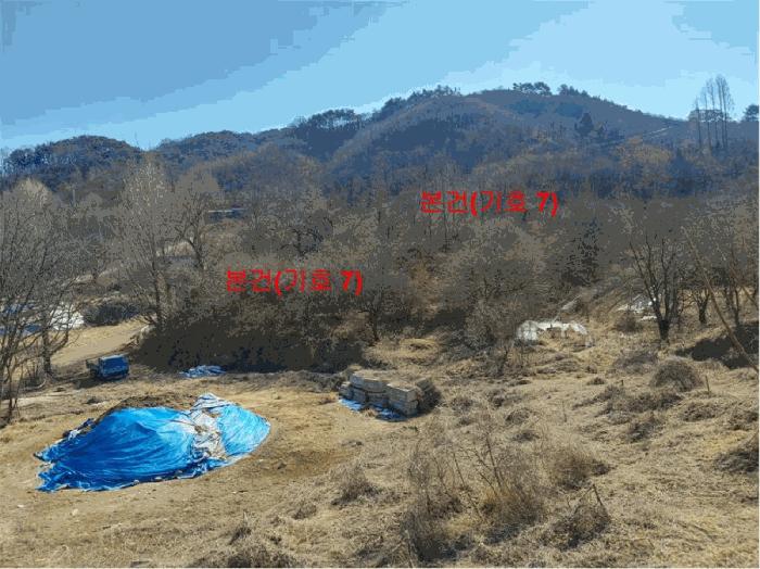 경상남도 합천군 묘산면 관기리 산85-3 임야 경매 사진 13