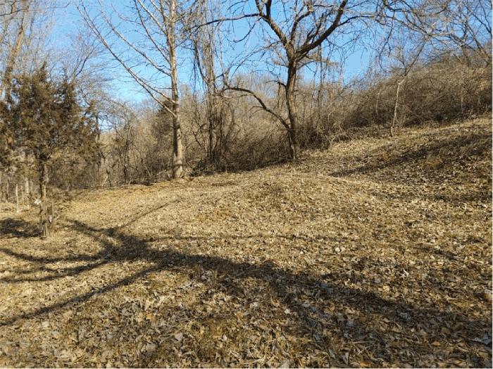 경상남도 합천군 묘산면 관기리 산85-3 임야 경매 사진 14