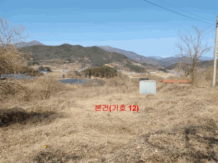 경상남도 합천군 묘산면 관기리 산85-3 임야 경매 사진 18