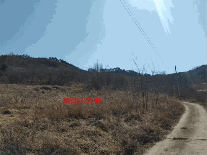경상남도 합천군 묘산면 관기리 산85-3 임야 경매 사진 2