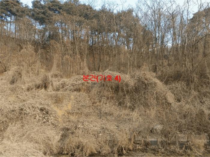 경상남도 합천군 묘산면 관기리 산85-3 임야 경매 사진 20