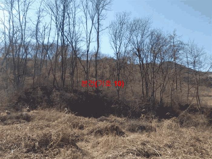 경상남도 합천군 묘산면 관기리 산85-3 임야 경매 사진 4