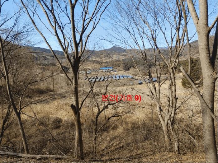 경상남도 합천군 묘산면 관기리 산85-3 임야 경매 사진 5