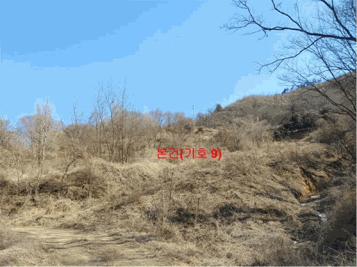 경상남도 합천군 묘산면 관기리 산85-3 임야 경매 사진 6