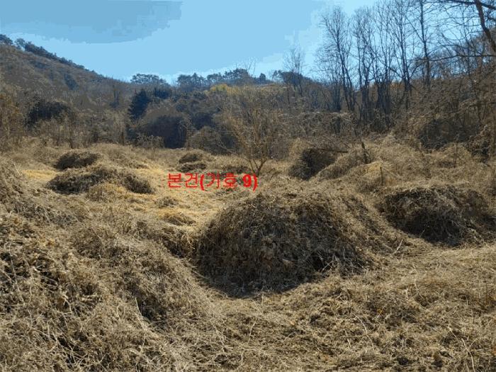 경상남도 합천군 묘산면 관기리 산85-3 임야 경매 사진 7