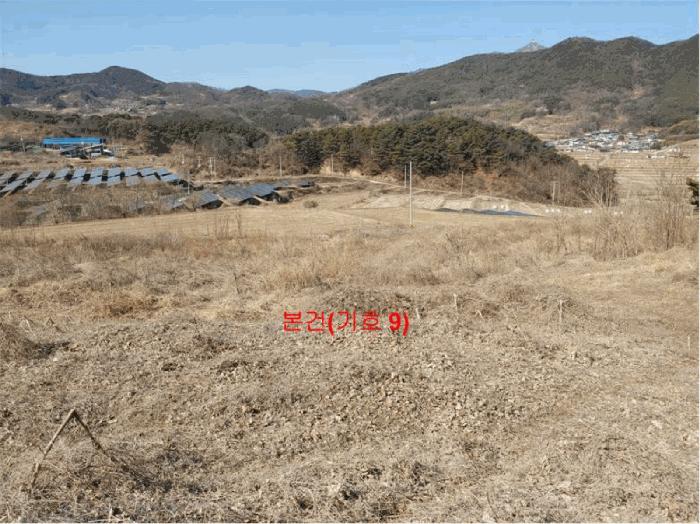 경상남도 합천군 묘산면 관기리 산85-3 임야 경매 사진 8