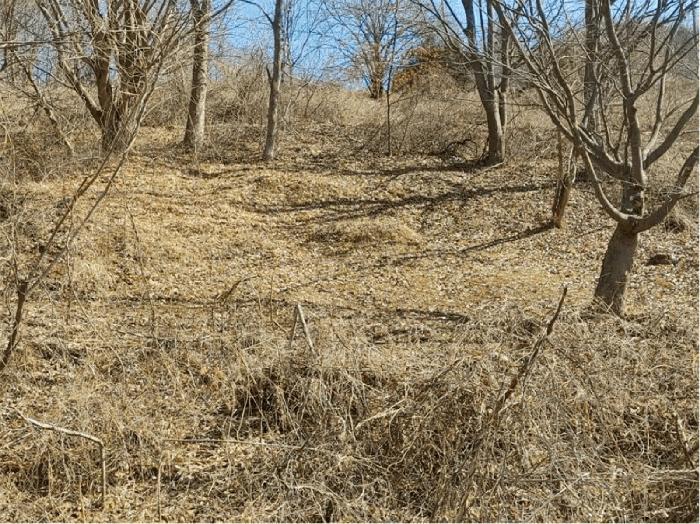 경상남도 합천군 묘산면 관기리 산85-3 임야 경매 사진 9