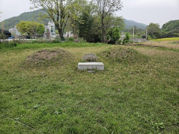 부산광역시 기장군 장안읍 장안리 산76 임야 경매 사진 4