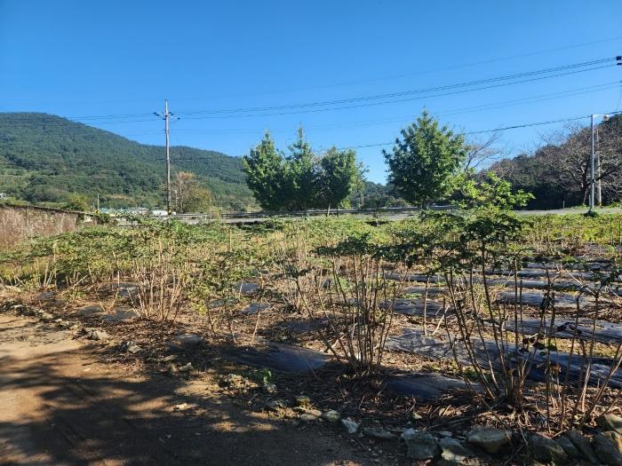 경상남도 남해군 남면 상가리 731-2 전 경매 사진 1