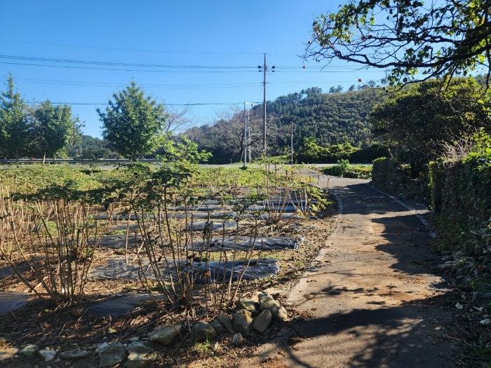경상남도 남해군 남면 상가리 731-2 전 경매 사진 6