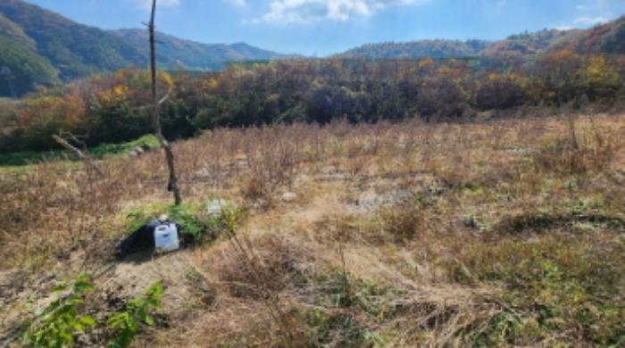 충청북도 제천시 봉양읍 마곡리 420 전 경매 사진 11