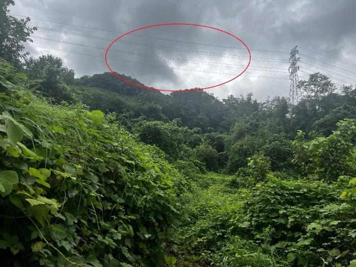충청북도 충주시 살미면 향산리 588 전 경매 사진 2