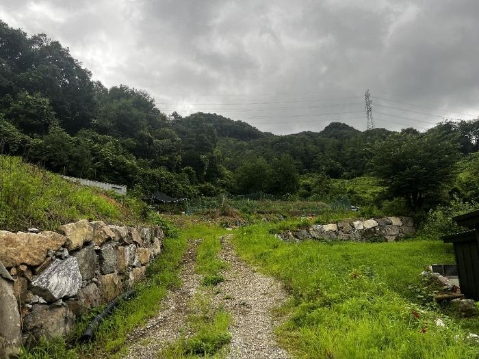충청북도 충주시 살미면 향산리 588 전 경매 사진 3