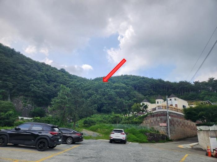 경상남도 거제시 연초면 오비리 산137 임야 경매 사진 2