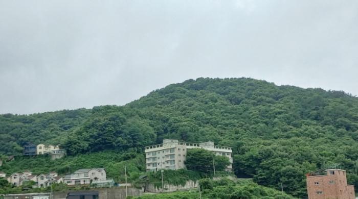 경상남도 거제시 연초면 오비리 산137 임야 경매 사진 3