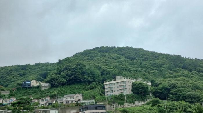 경상남도 거제시 연초면 오비리 산137 임야 경매 사진 4