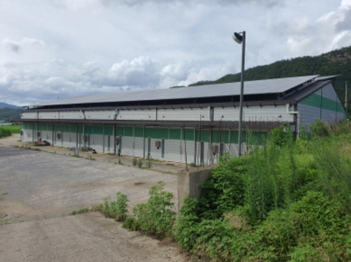 전라남도 장흥군 용산면 상금리 57 창고 경매 사진 29
