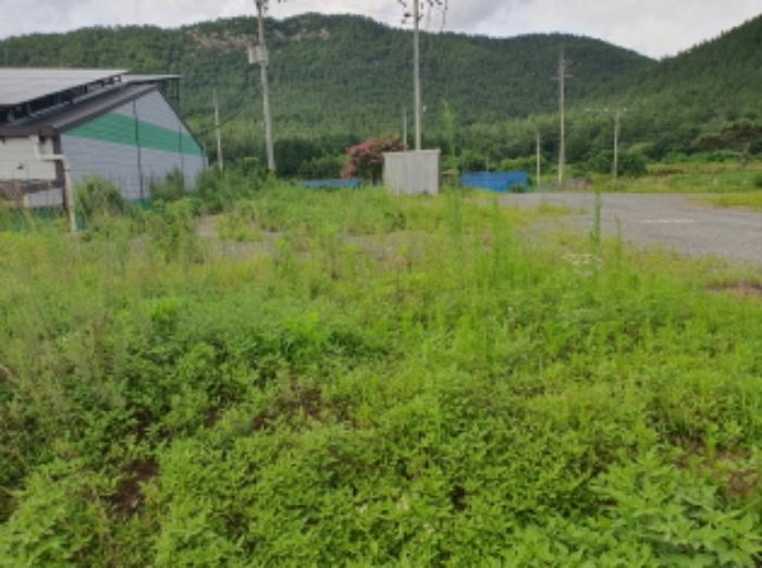 전라남도 장흥군 용산면 상금리 57 창고 경매 사진 32