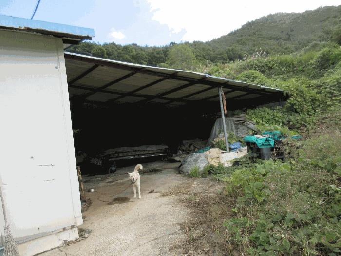 전라남도 여수시 소라면 복산리 1050 공장 경매 사진 26