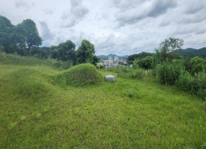 충청북도 영동군 용산면 구촌리 220-2 임야 경매 사진 30