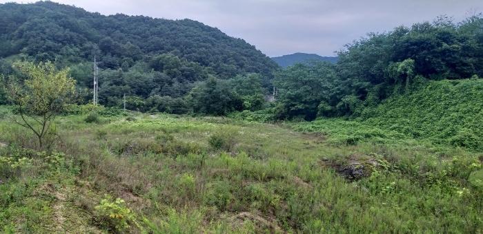 충청북도 영동군 용산면 구촌리 220-2 임야 경매 사진 6
