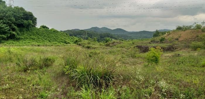 충청북도 영동군 용산면 구촌리 220-2 임야 경매 사진 7