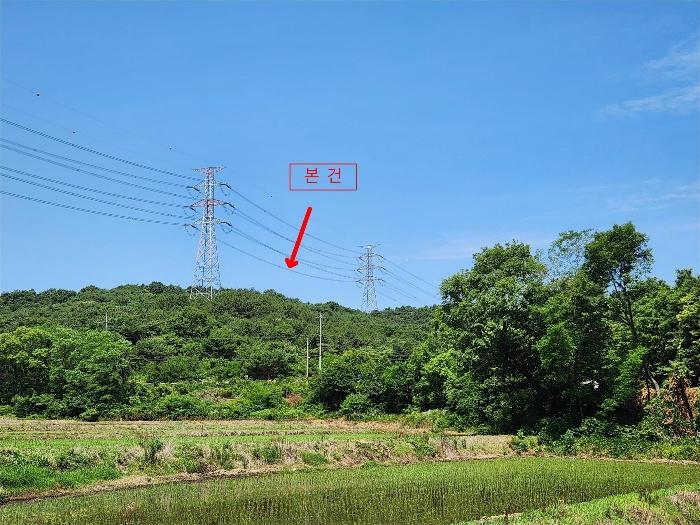 충청남도 서산시 운산면 갈산리 산116 임야 경매 사진 1