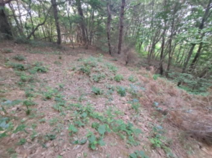 충청남도 서산시 운산면 갈산리 산116 임야 경매 사진 10