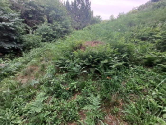 충청남도 서산시 운산면 갈산리 산116 임야 경매 사진 18