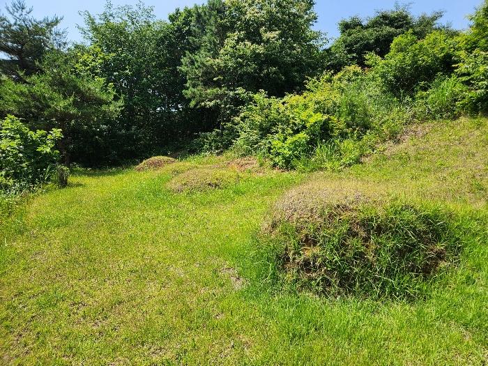 충청남도 서산시 운산면 갈산리 산116 임야 경매 사진 2