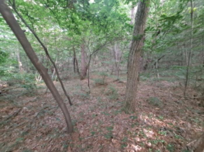 충청남도 서산시 운산면 갈산리 산116 임야 경매 사진 21