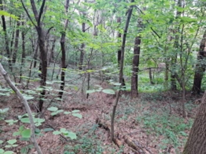 충청남도 서산시 운산면 갈산리 산116 임야 경매 사진 23