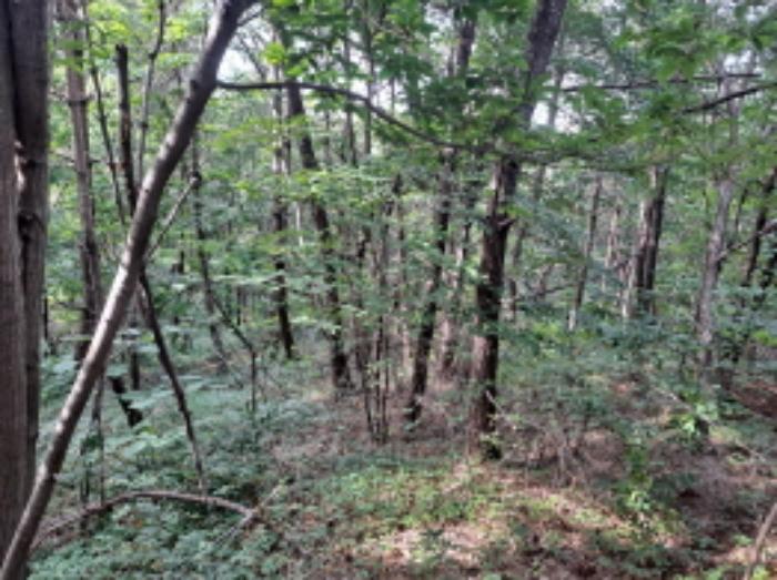 충청남도 서산시 운산면 갈산리 산116 임야 경매 사진 8