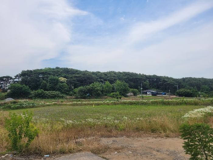 충청남도 서산시 대산읍 대산리 1288-2 전 경매 사진 1