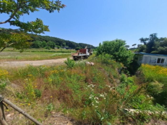 충청남도 서산시 대산읍 대산리 1288-2 전 경매 사진 12